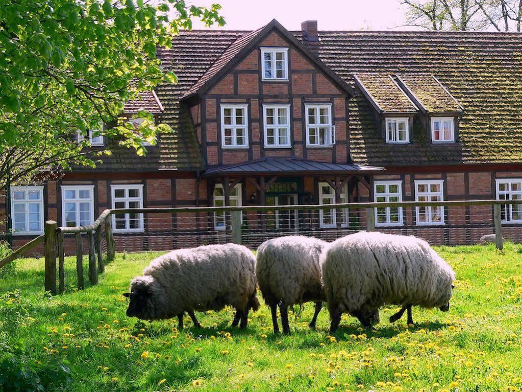 Hôtel Gutshof Woldzegarten Extérieur photo